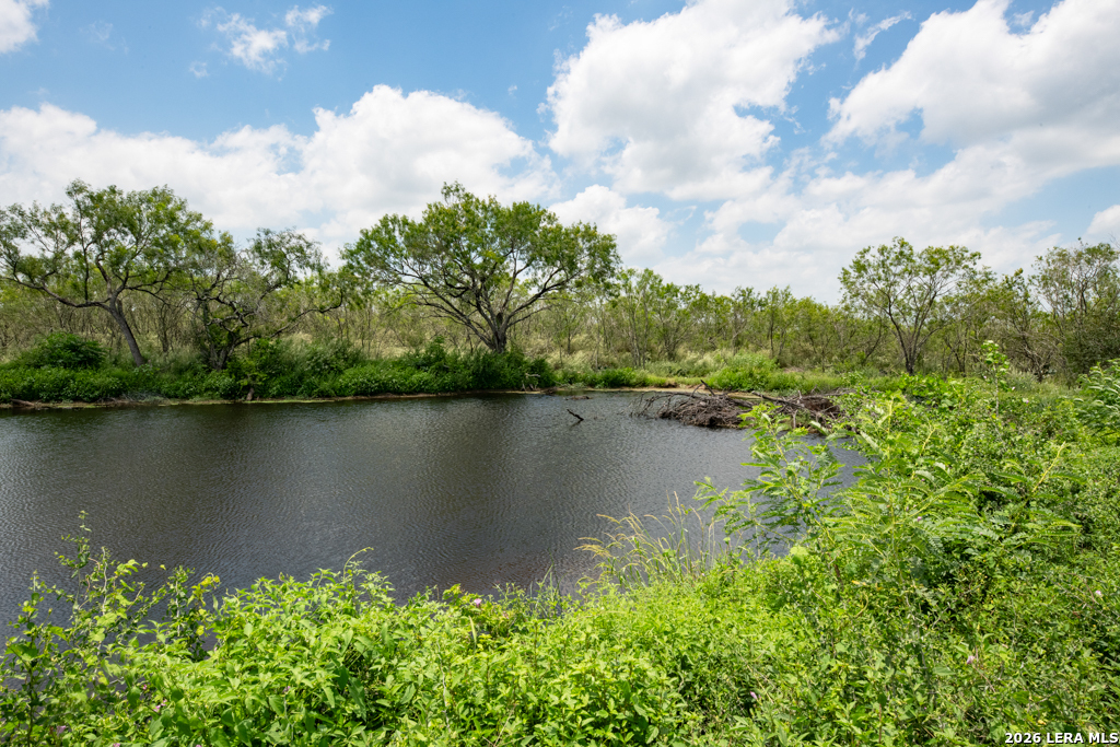 1393 Fox Trotter Road Seguin, TX 78155 - Photo 11 of 46