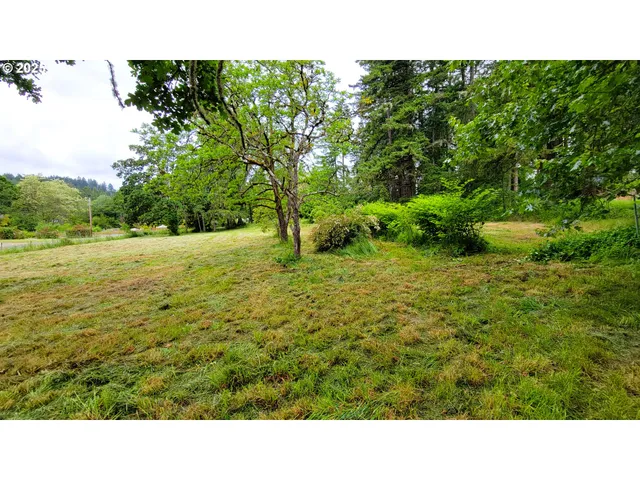 a open area with trees in the background