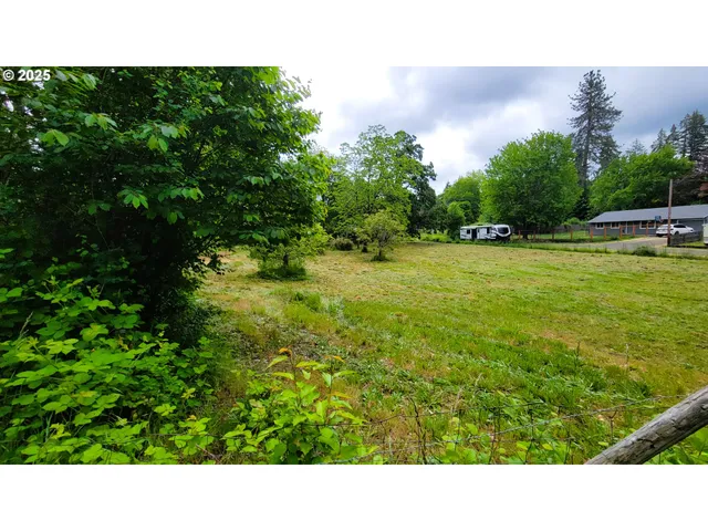 a open area with trees in the background