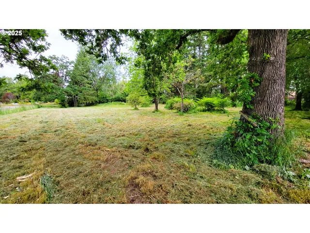 a open area with trees in the background