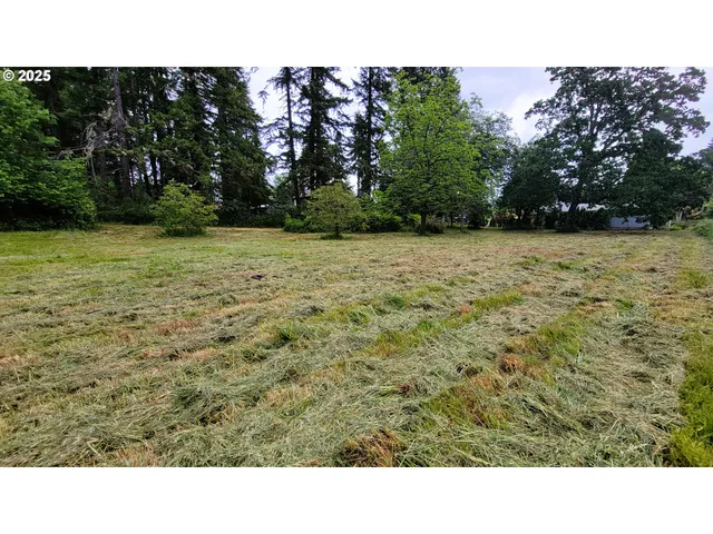 a open area with trees in the background