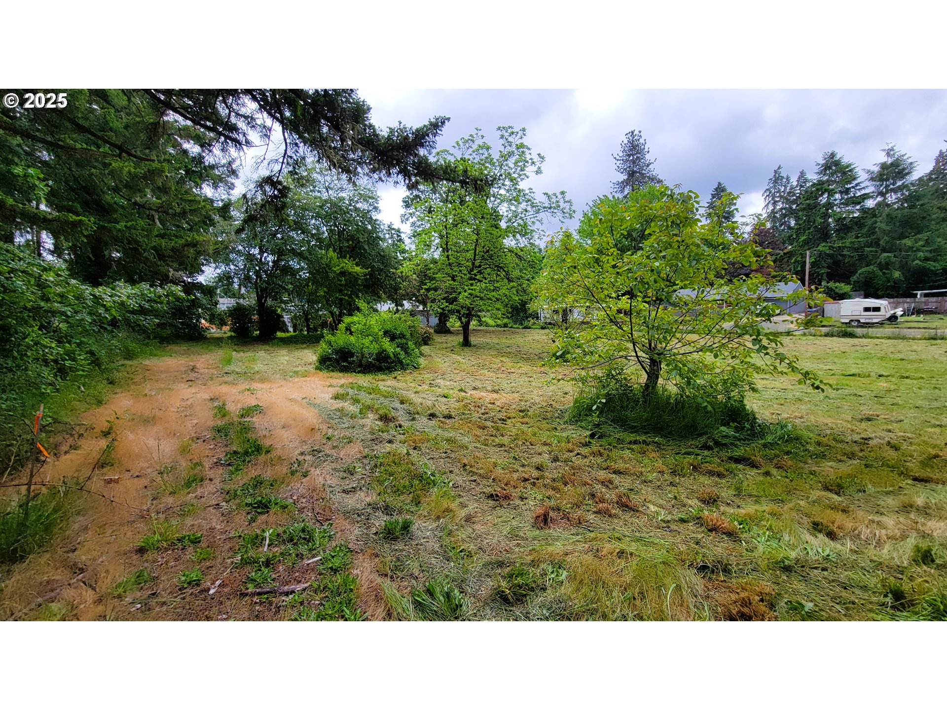 88109 8th Street Veneta, OR 97487 - Photo 7 of 11 a open area with trees in the background