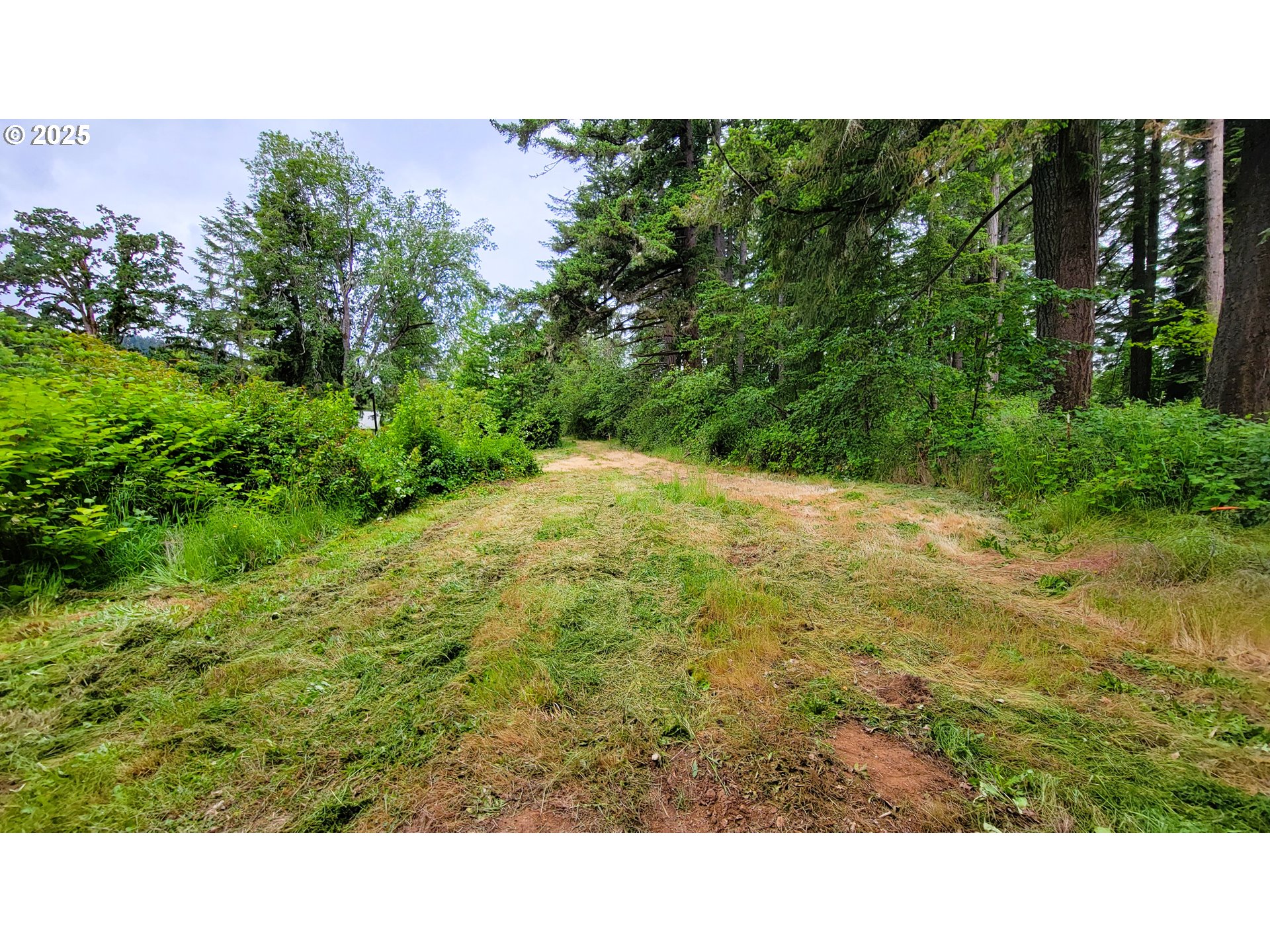 88109 8th Street Veneta, OR 97487 - Photo 8 of 11 a view of a backyard
