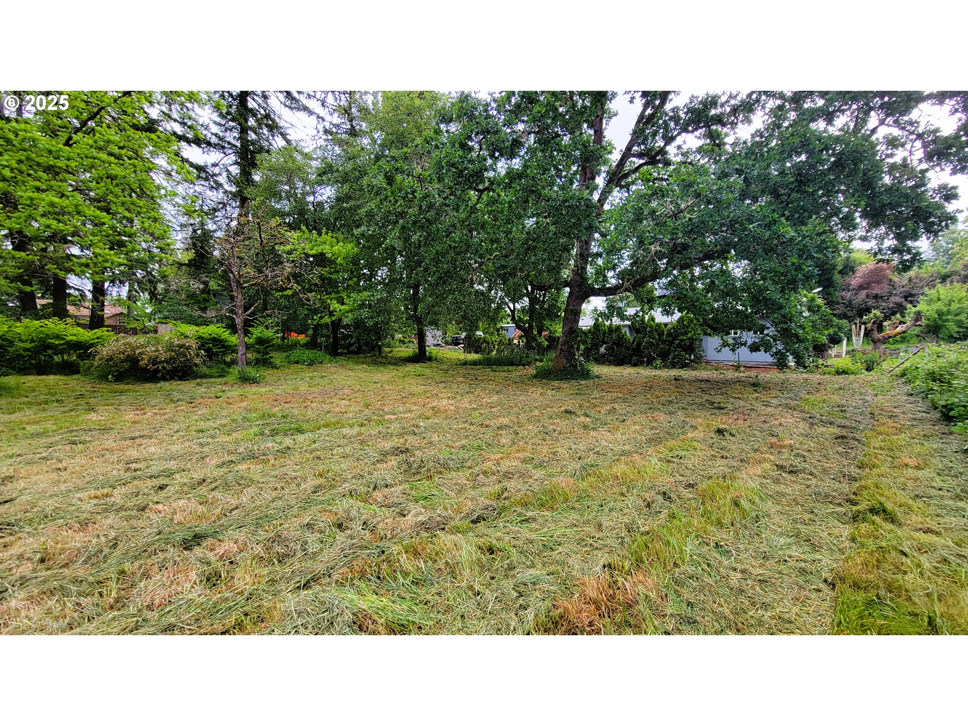 88109 8th Street Veneta, OR 97487 - Photo 9 of 11 a open area with trees in the background