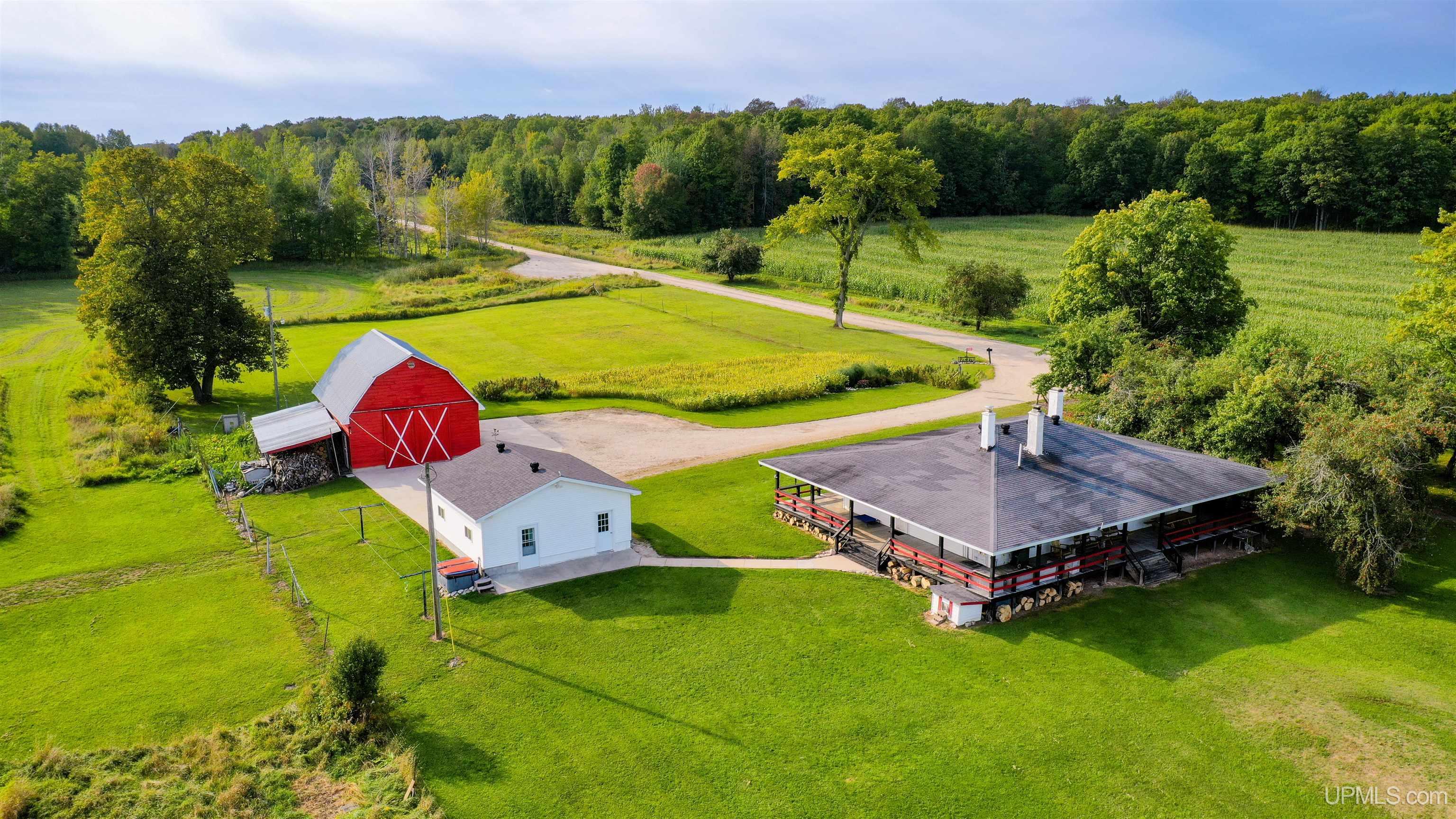 W13371 Feigel Road Engadine, MI 49827 - Photo 2 of 49