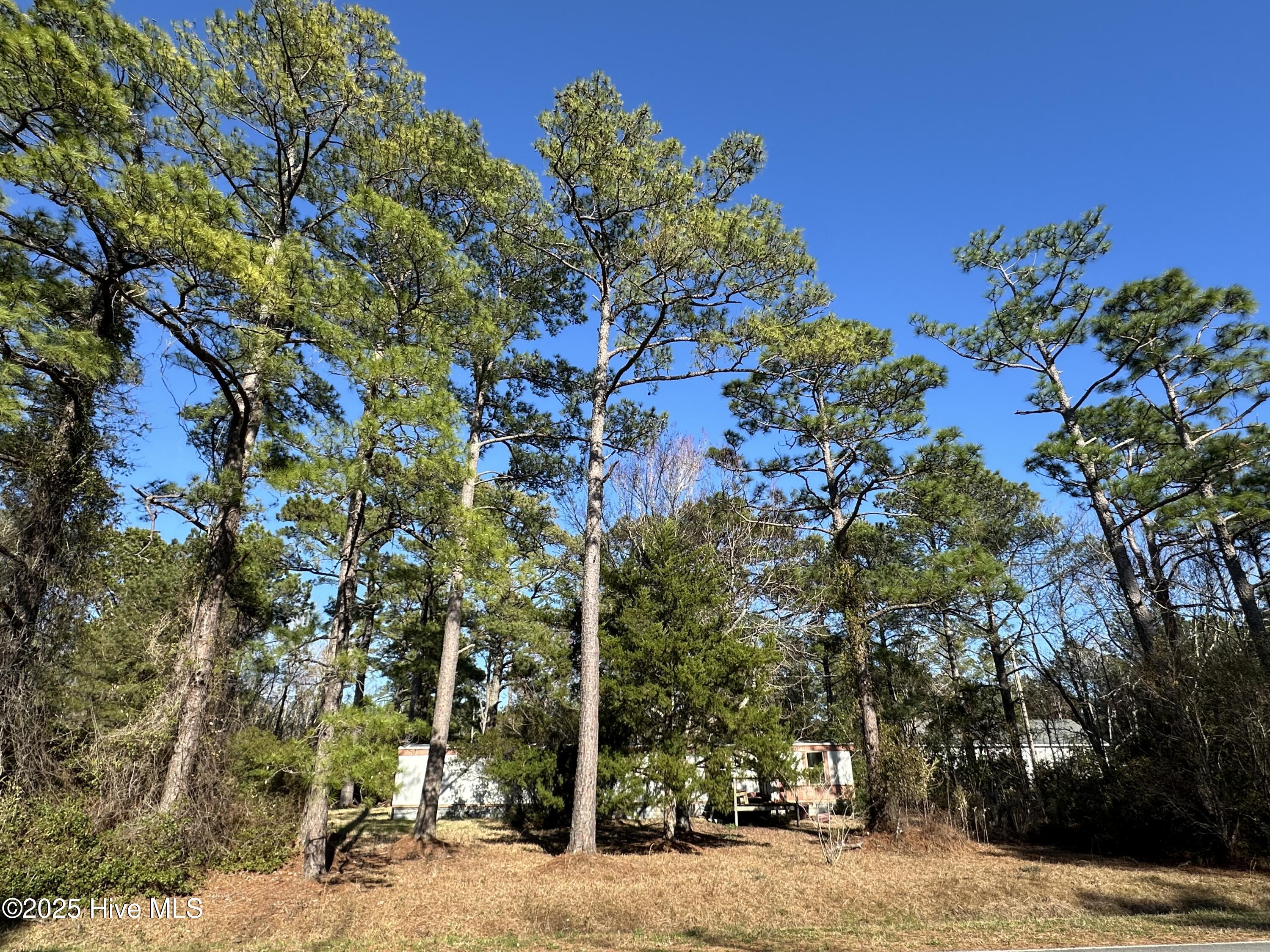 438 Firetower Road Beaufort, NC 28516 - Photo 6 of 7 2025-03-18 16.44.44