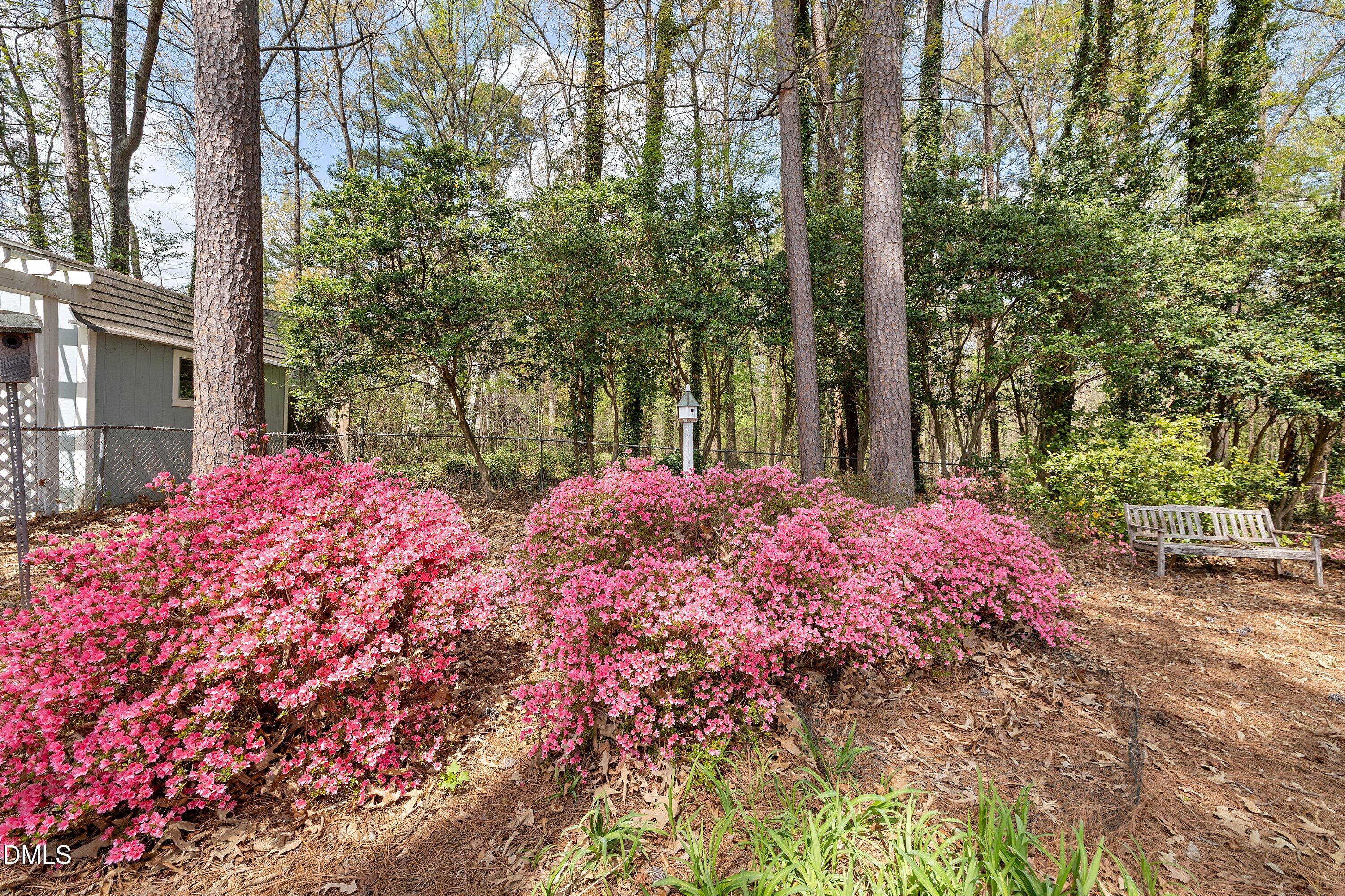 1429 Falls Church Road Raleigh, NC 27609 - Photo 47 of 60 a view of a backyard of the house