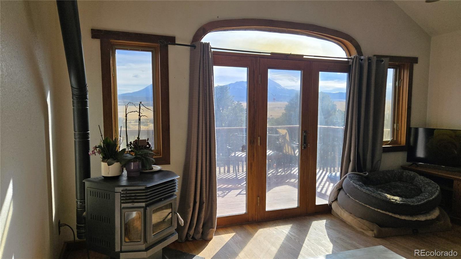 957 Vega Road Walsenburg, CO 81089 - Photo 5 of 30 a room with furniture and a potted plant