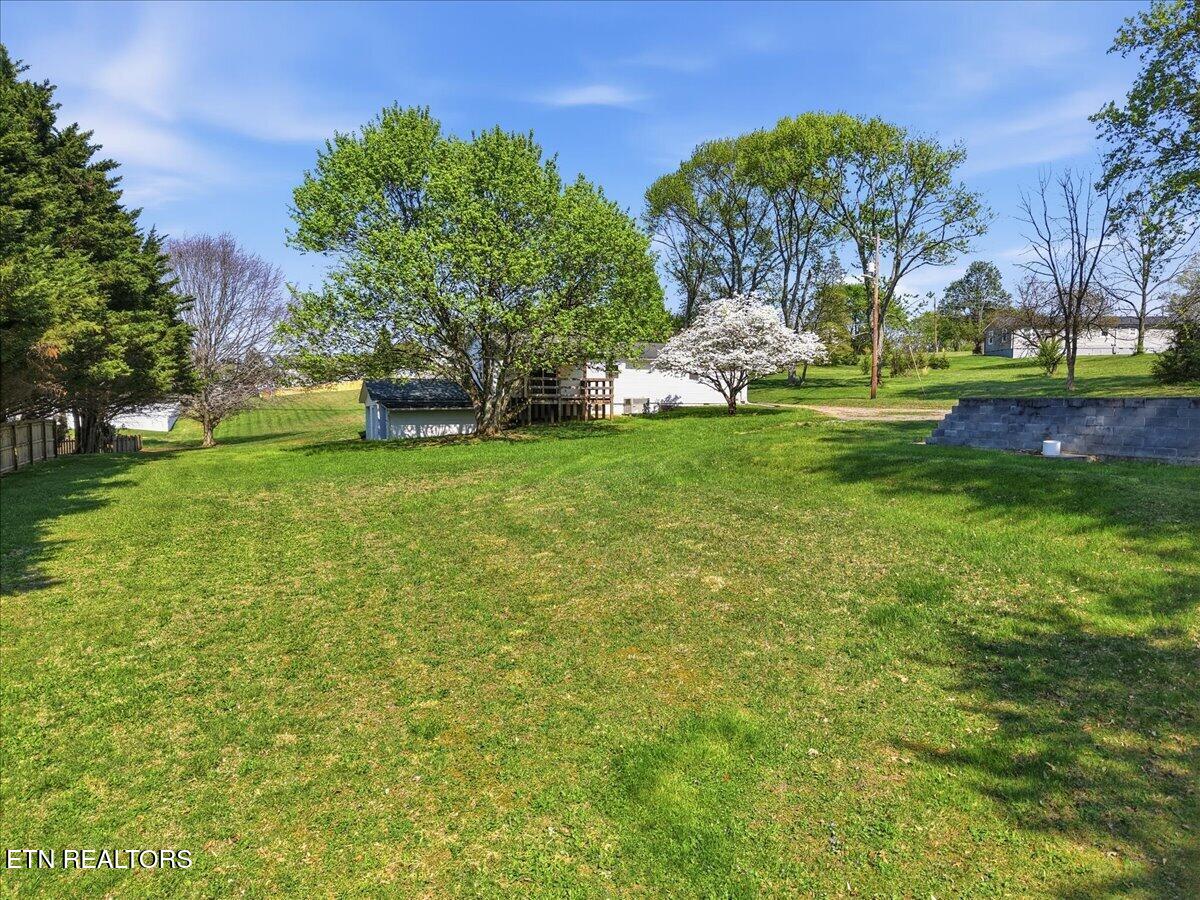 7709 Morris Road Knoxville, TN 37938 - Photo 41 of 52 Back Yard