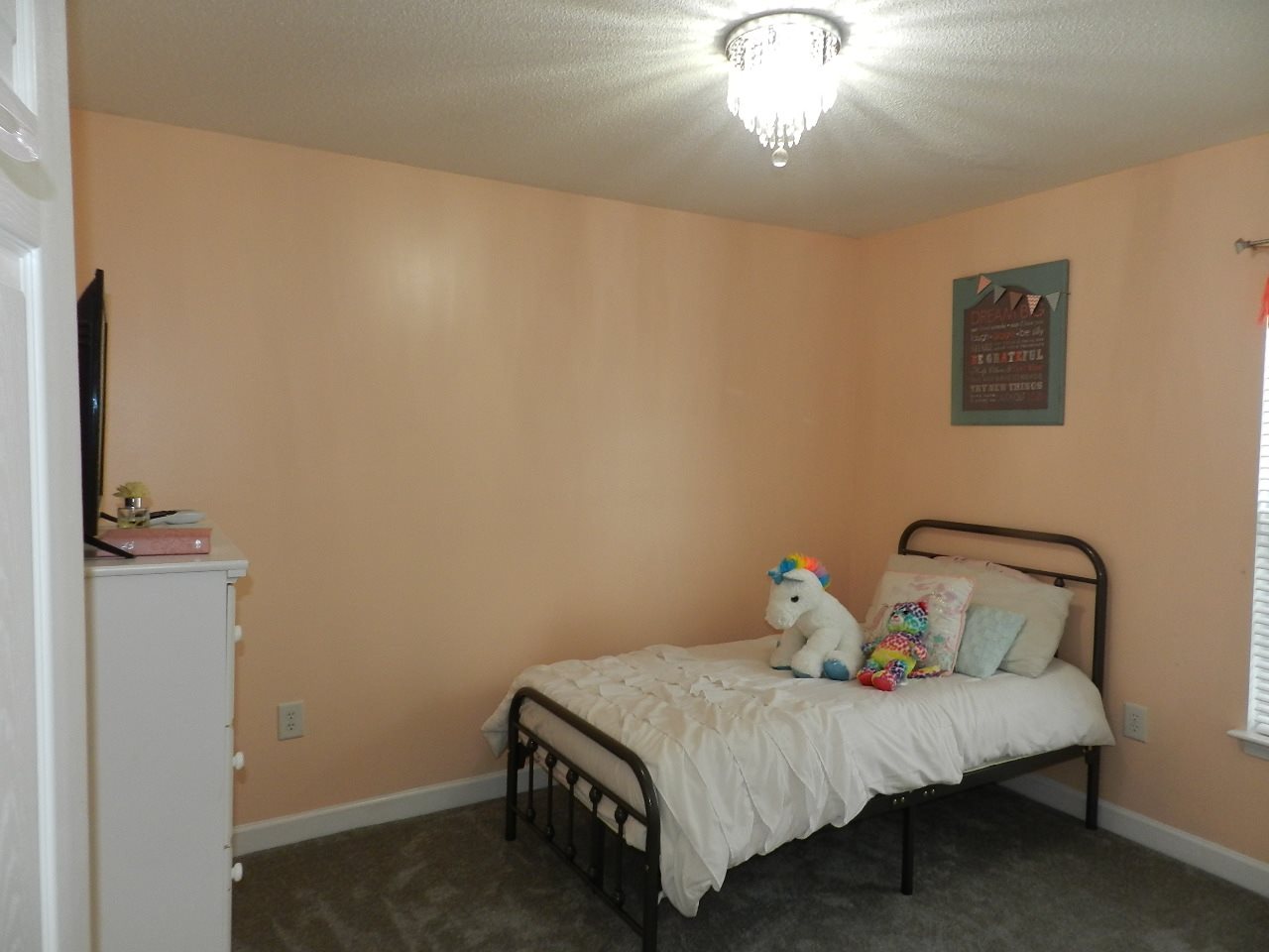 209 Frying Pan Court Boiling Springs, SC 29316 - Photo 19 of 23 Gallery Image 19