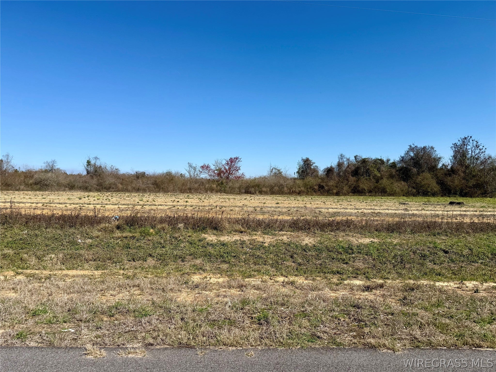 2.5-acres Garrett Road Ashford, AL 36312 - Photo 9 of 9 Gallery Image 9