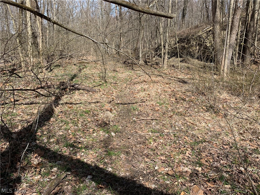 Crawford Road Homerville, OH 44235 - Photo 31 of 35 Gallery Image 31