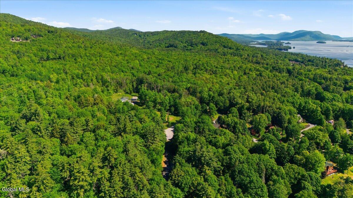 54 Carriage Hill Road Diamond Point, NY 12824 - Photo 52 of 55 07-007_DJI_20260529100626_0035_D