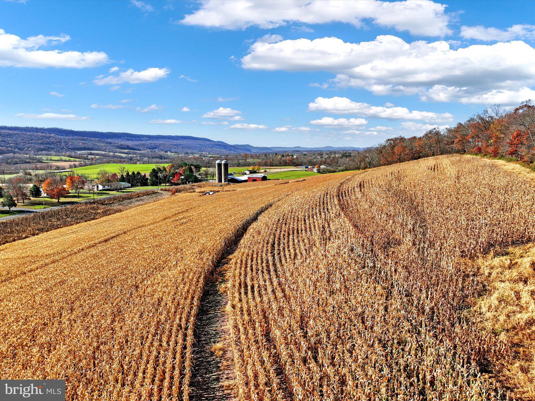 318 Matamoras Road Halifax, PA 17032 - Photo 14 of 18 7
