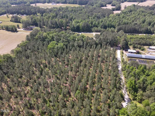 a view of a forest with a houses