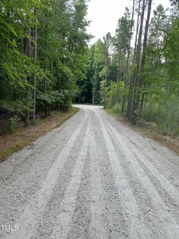 a view of a dirt road with trees in the background