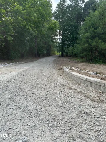 a view of backyard with green space
