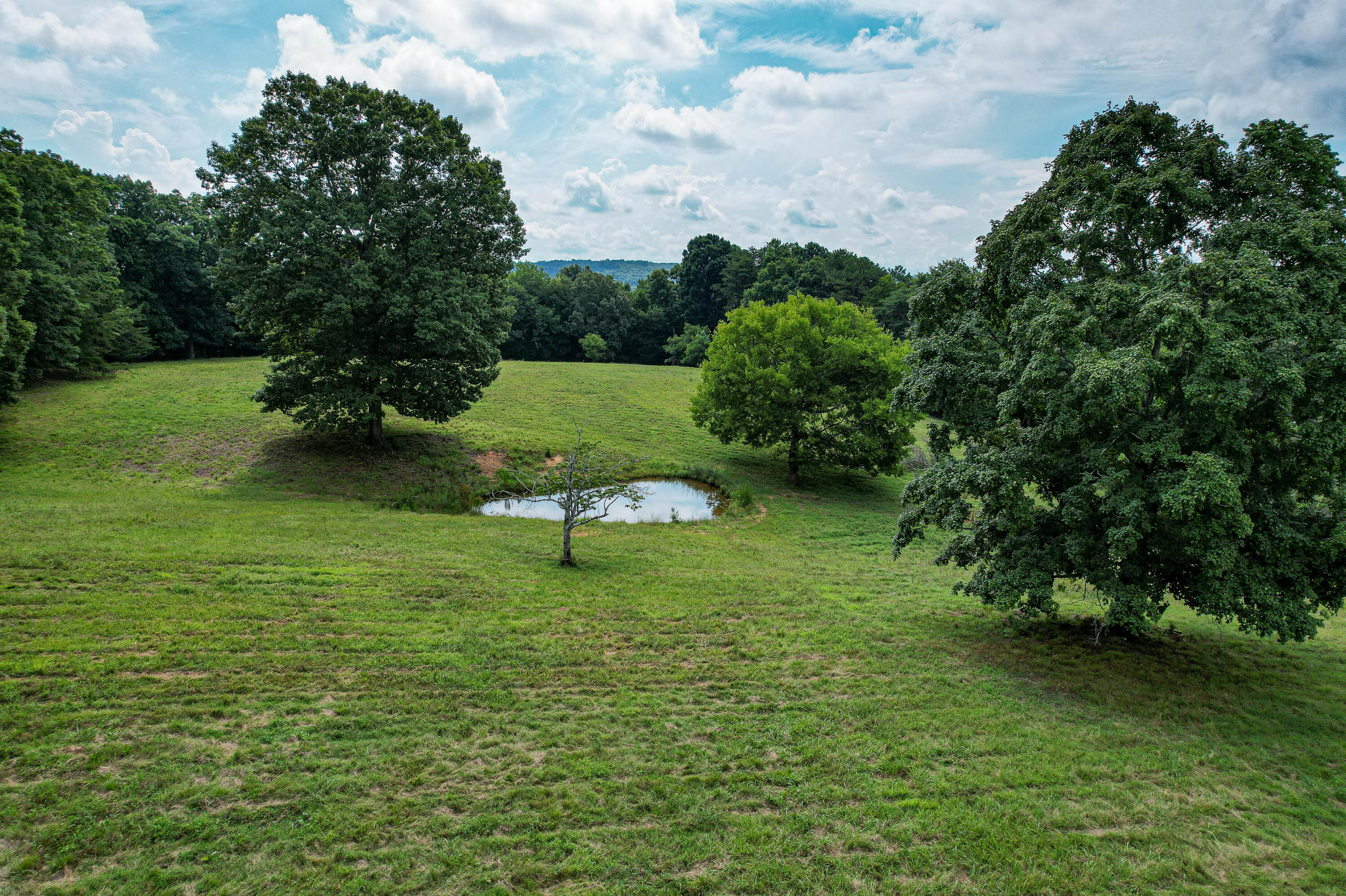 124 Jenkins Road Northeast Cleveland, TN 37312 - Photo 18 of 48 33-124 Jenkins Rd NE-47