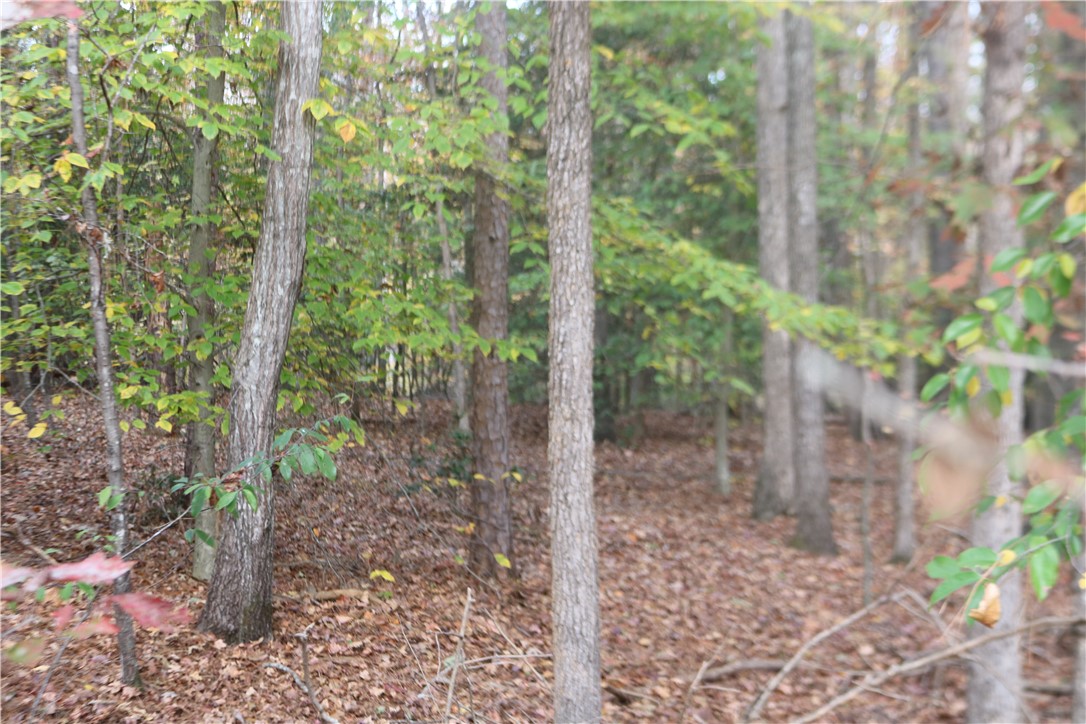 0 Howard McGee Road Anderson, SC 29621 - Photo 2 of 7