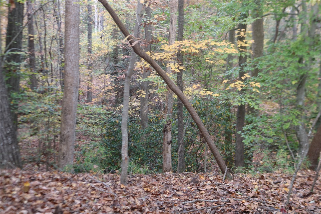0 Howard McGee Road Anderson, SC 29621 - Photo 3 of 7
