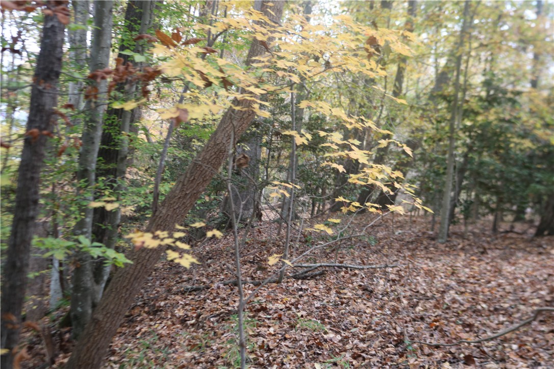 0 Howard McGee Road Anderson, SC 29621 - Photo 5 of 7