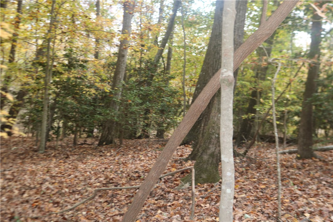 0 Howard McGee Road Anderson, SC 29621 - Photo 6 of 7