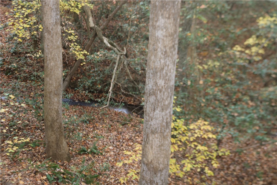 0 Howard McGee Road Anderson, SC 29621 - Photo 7 of 7