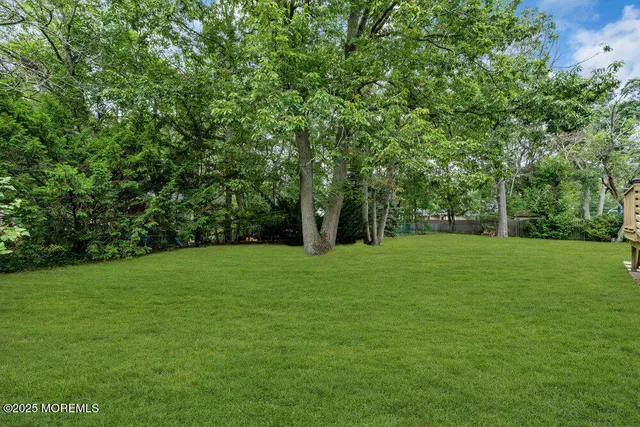 a view of a grassy field with trees