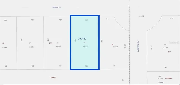 a view of a forest with trees in the background