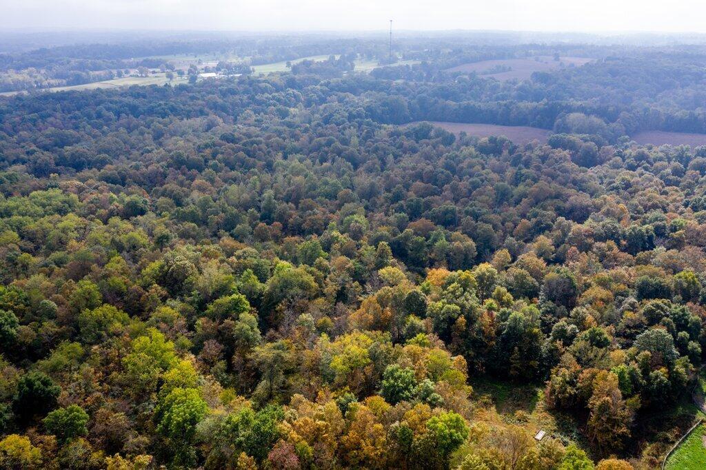 0 Bracken Road, Unit 5097 Alexandria, OH 43001 - Photo 6 of 22 Hickory Farm Drone -8.jpg-SMALL