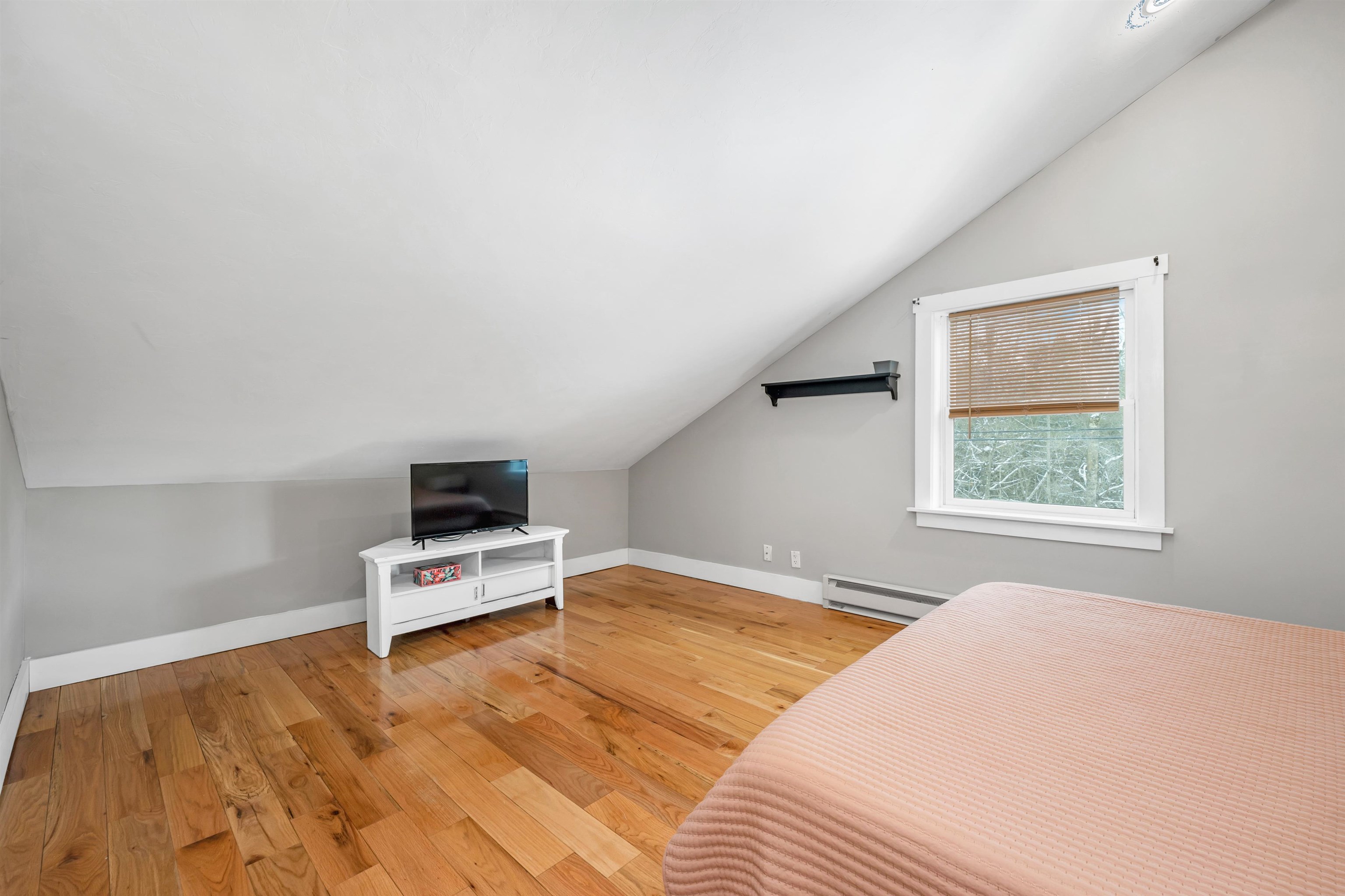 161 Millbrook Road Thornton, NH 03285 - Photo 14 of 29