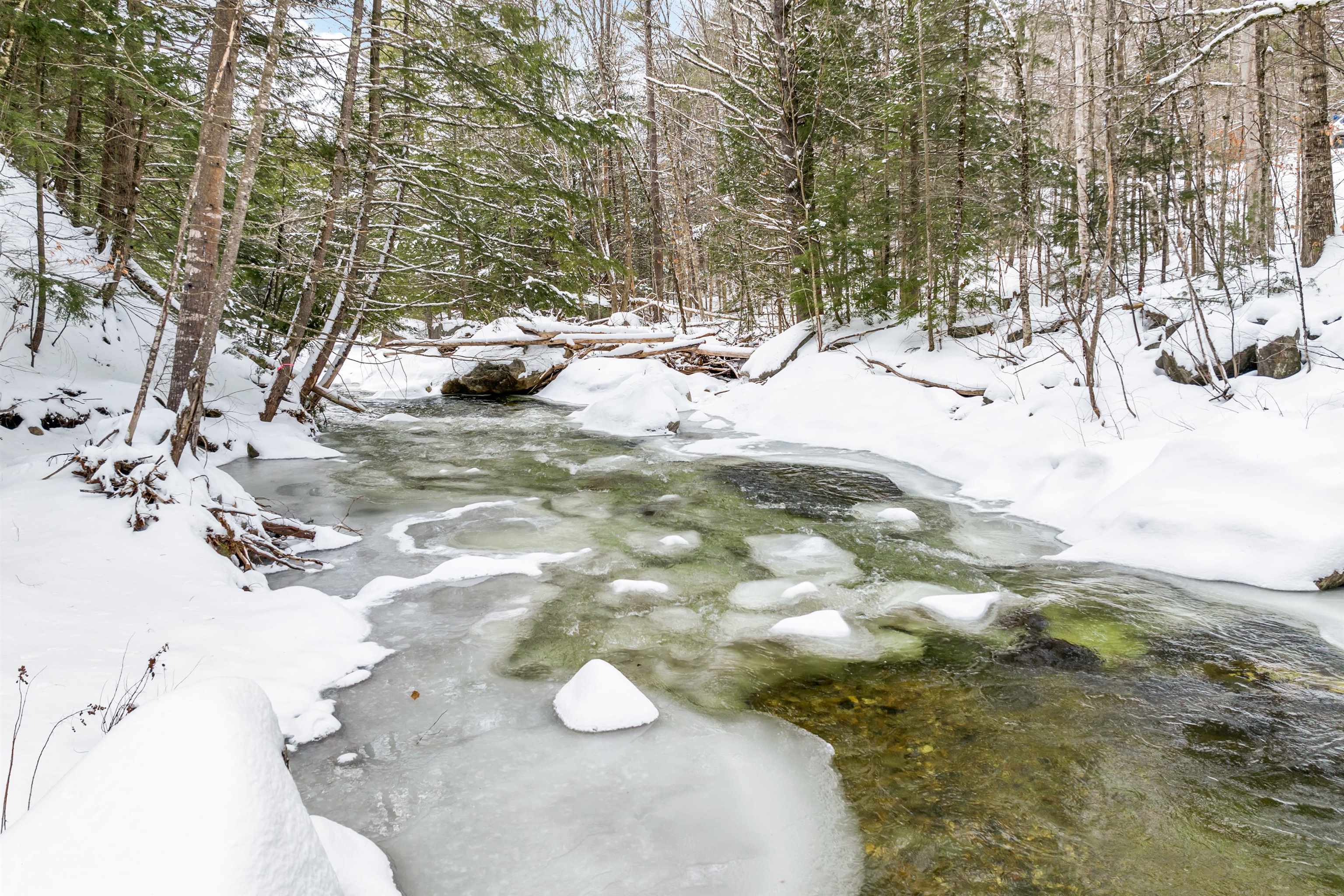 161 Millbrook Road Thornton, NH 03285 - Photo 18 of 29