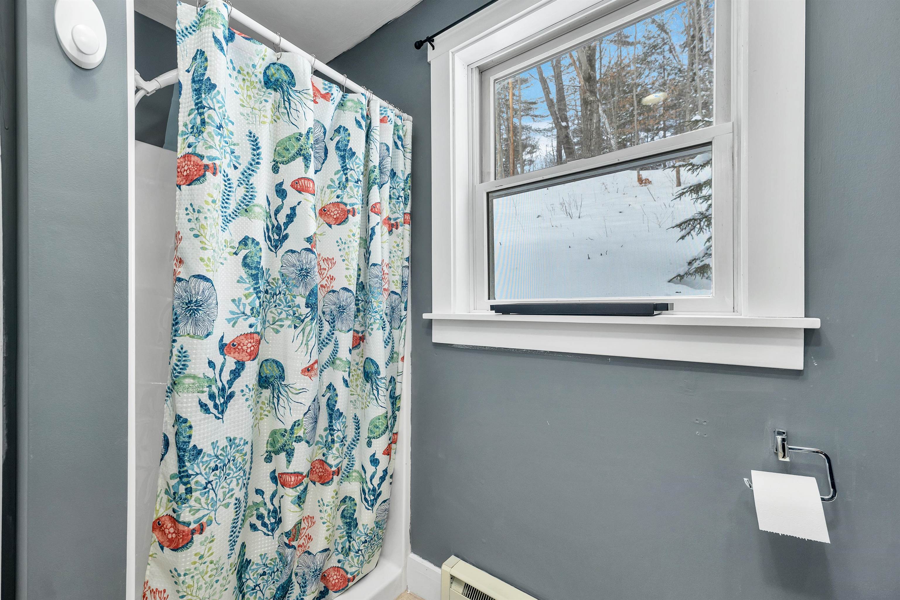 161 Millbrook Road Thornton, NH 03285 - Photo 5 of 29