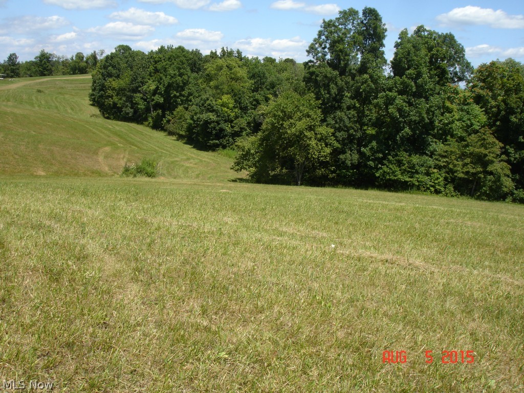 18415 Sugartree Road Kimbolton, OH 43749 - Photo 19 of 25 Gallery Image 19