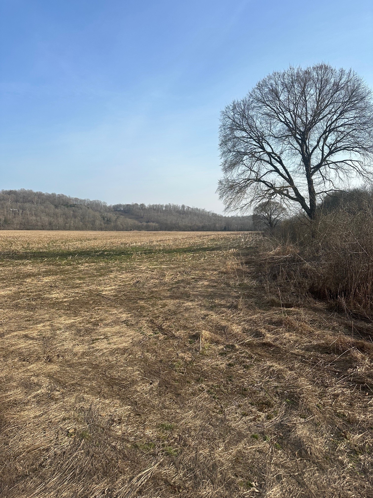 69 A Dee Solomon Road Frankewing, TN 38459 - Photo 3 of 6