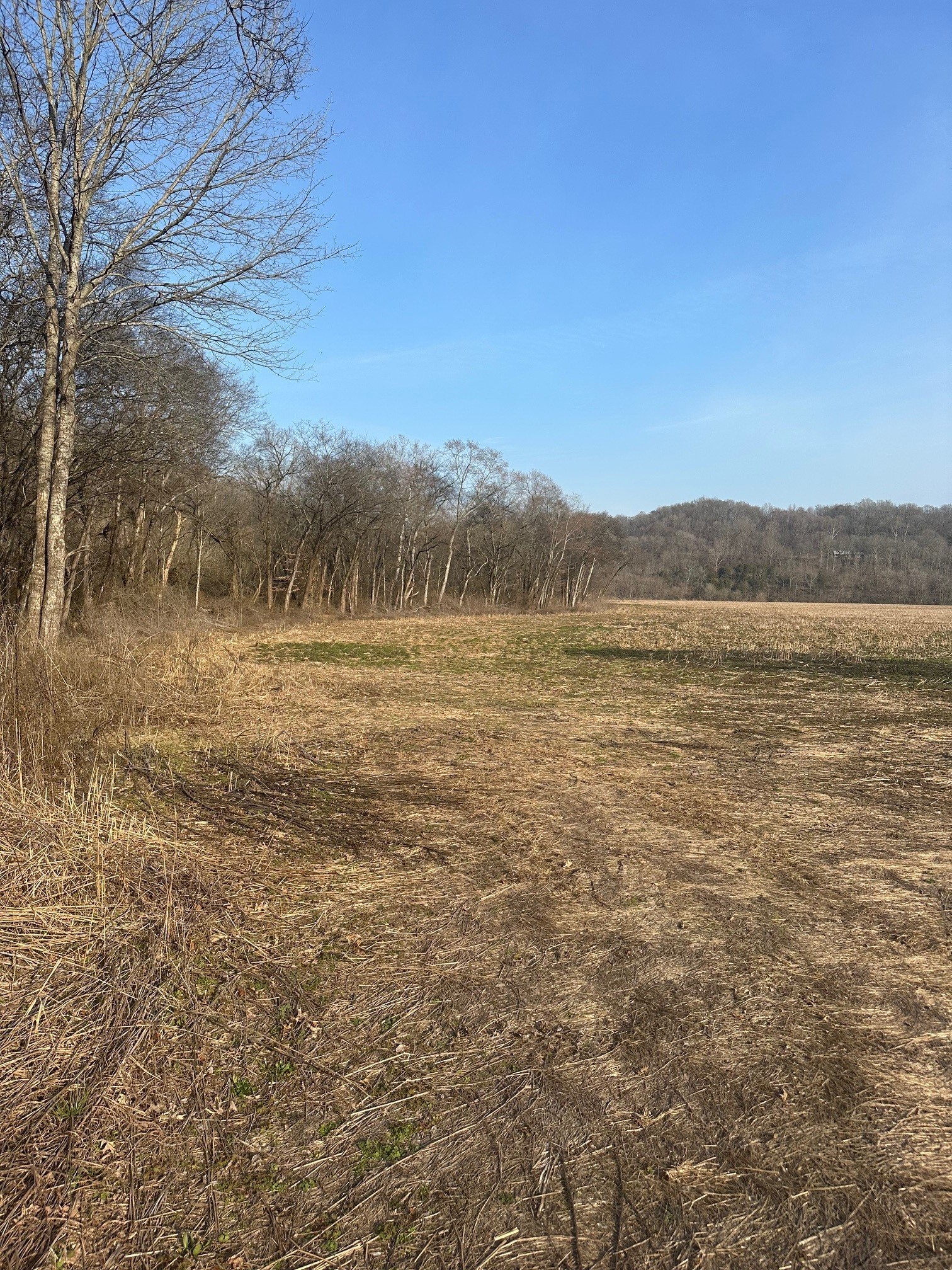 69 A Dee Solomon Road Frankewing, TN 38459 - Photo 4 of 6
