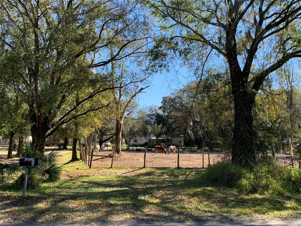 a view of park