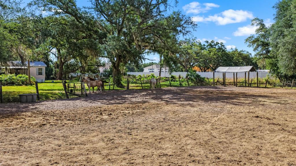 5614 Watson Road Riverview, FL 33578 - Photo 14 of 16 a backyard of a house with lots of green space