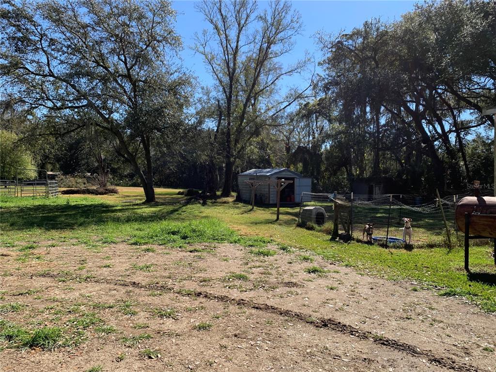 5614 Watson Road Riverview, FL 33578 - Photo 2 of 3 a view of a backyard with couches plants and large trees