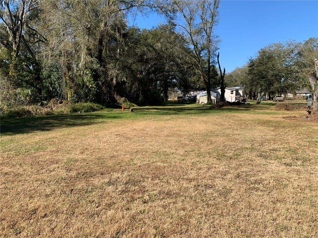 5614 Watson Road Riverview, FL 33578 - Photo 4 of 16 a view of a trees in a yard