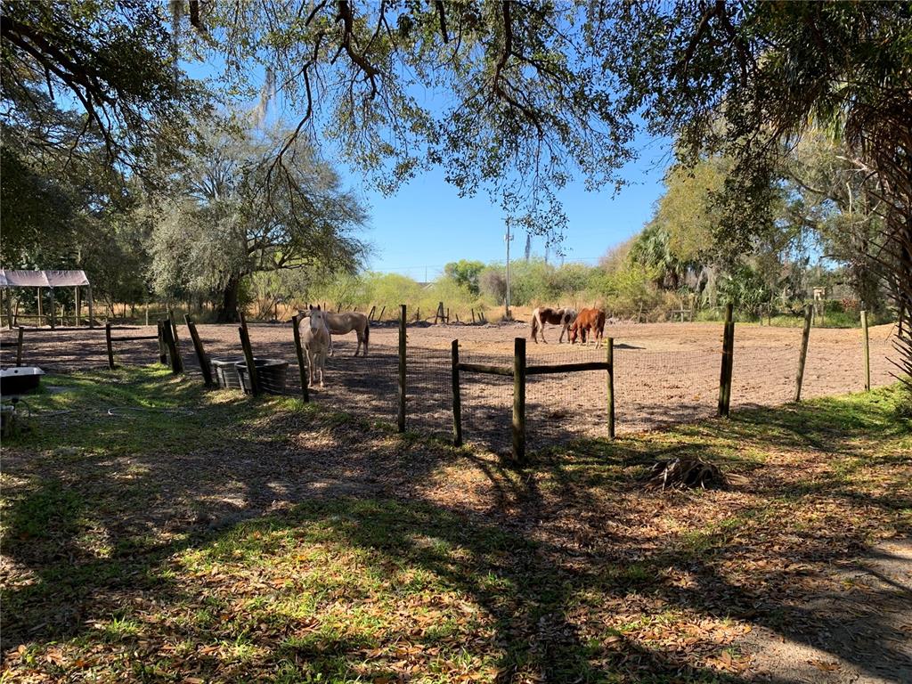 5614 Watson Road Riverview, FL 33578 - Photo 5 of 16 a view of a backyard of the house