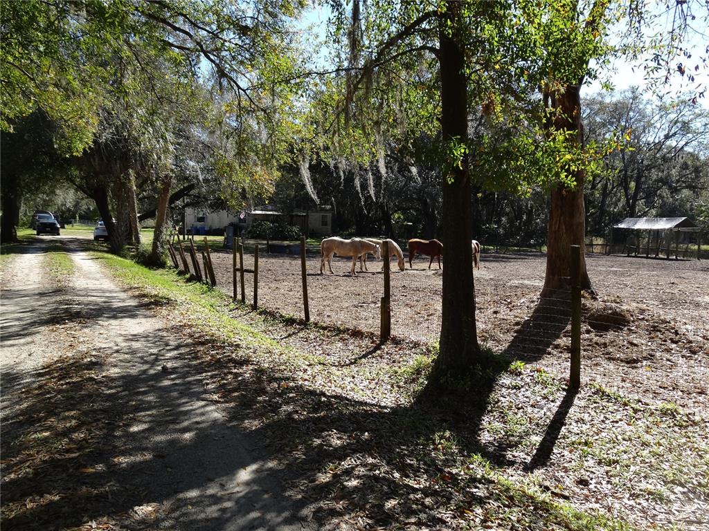 5614 Watson Road Riverview, FL 33578 - Photo 7 of 16 a view of street with trees