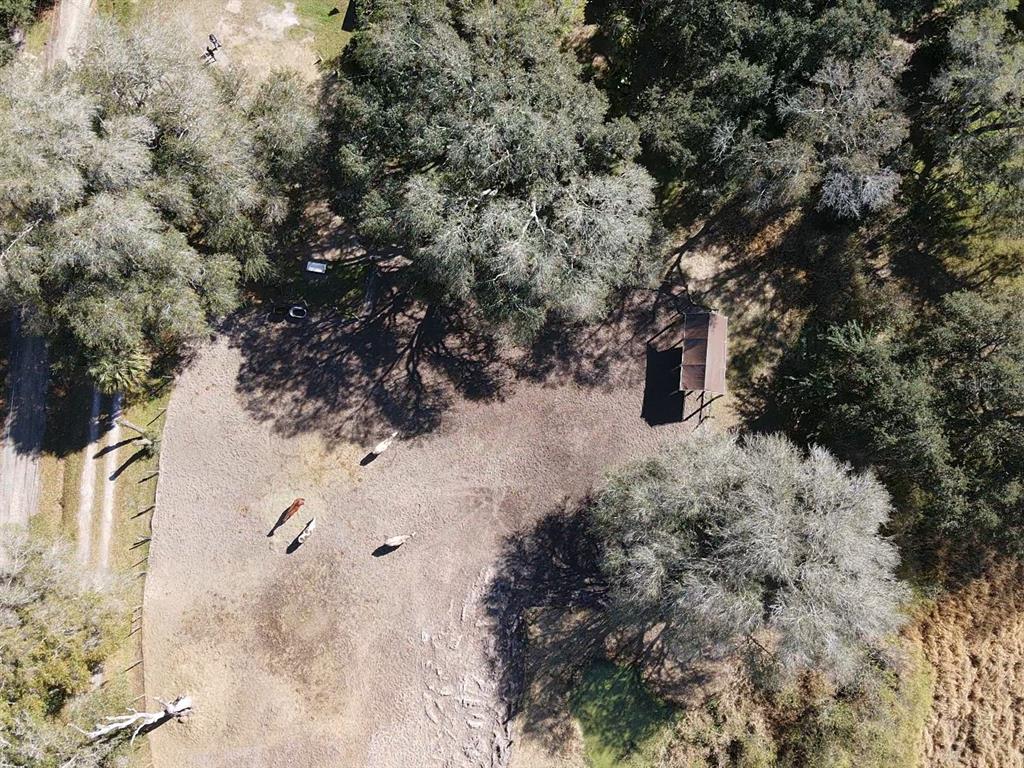 5614 Watson Road Riverview, FL 33578 - Photo 8 of 16 a view of outdoor space with trees