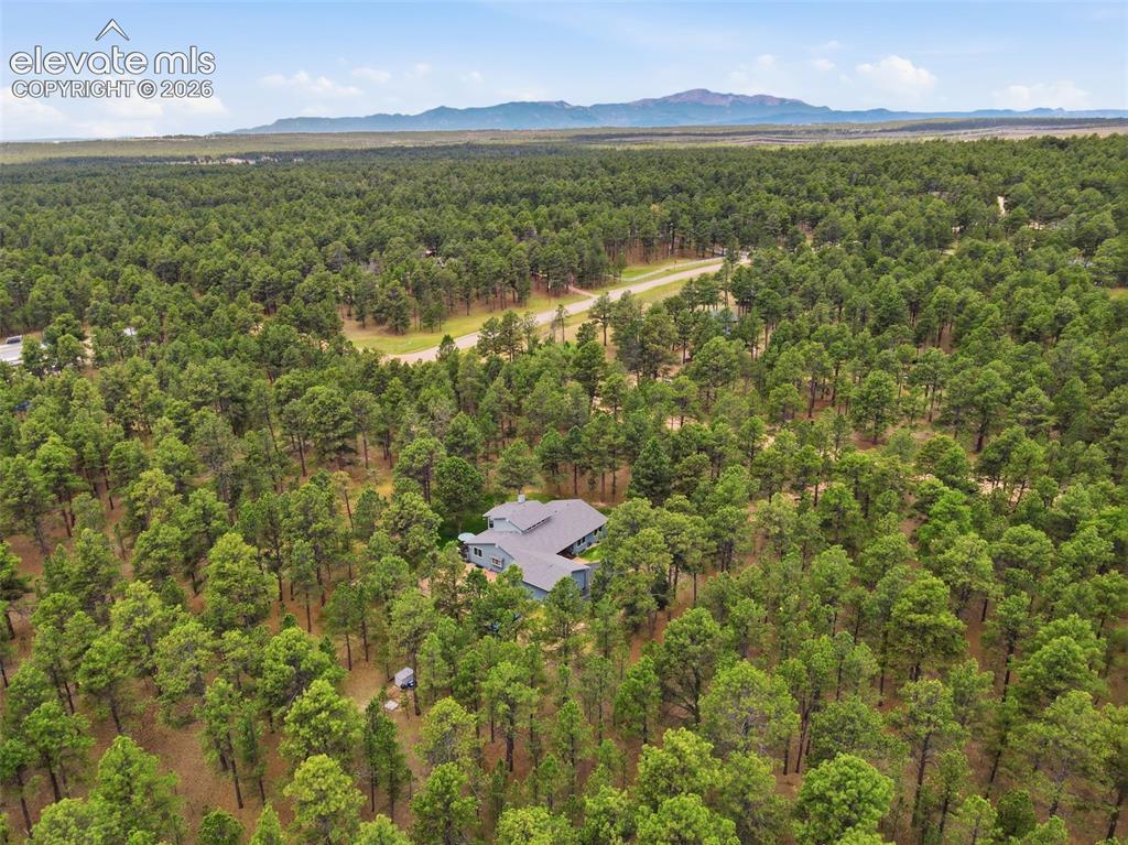 14355 Rankin Road Elbert, CO 80106 - Photo 49 of 50