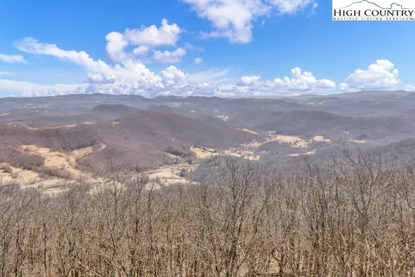 a backyard of a house with a large tree
