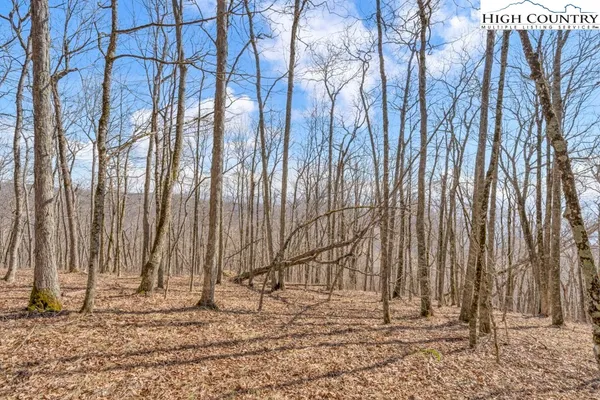 a view of wooden fence