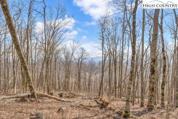 a view of a backyard of the house