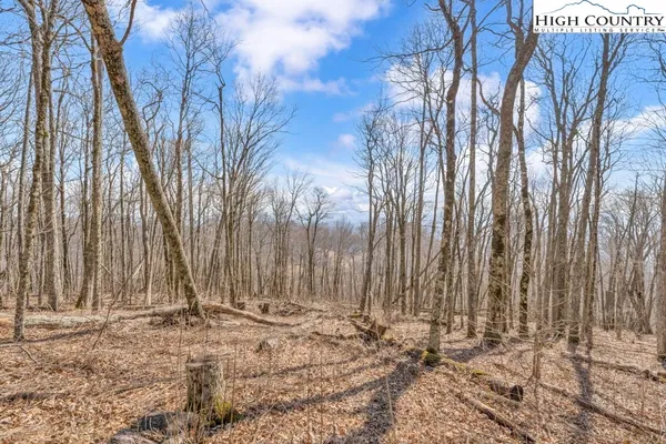 a view of wooden fence