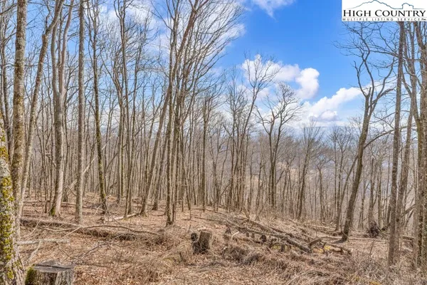 a view of outdoor space with wooden fence
