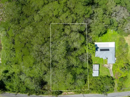 a view of a yard with large trees